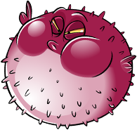 Puffer Fish