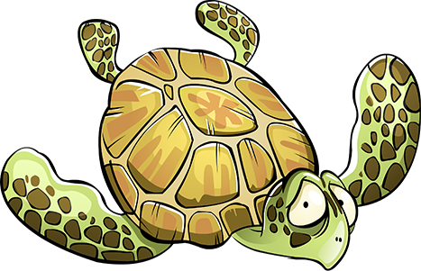 Turtle